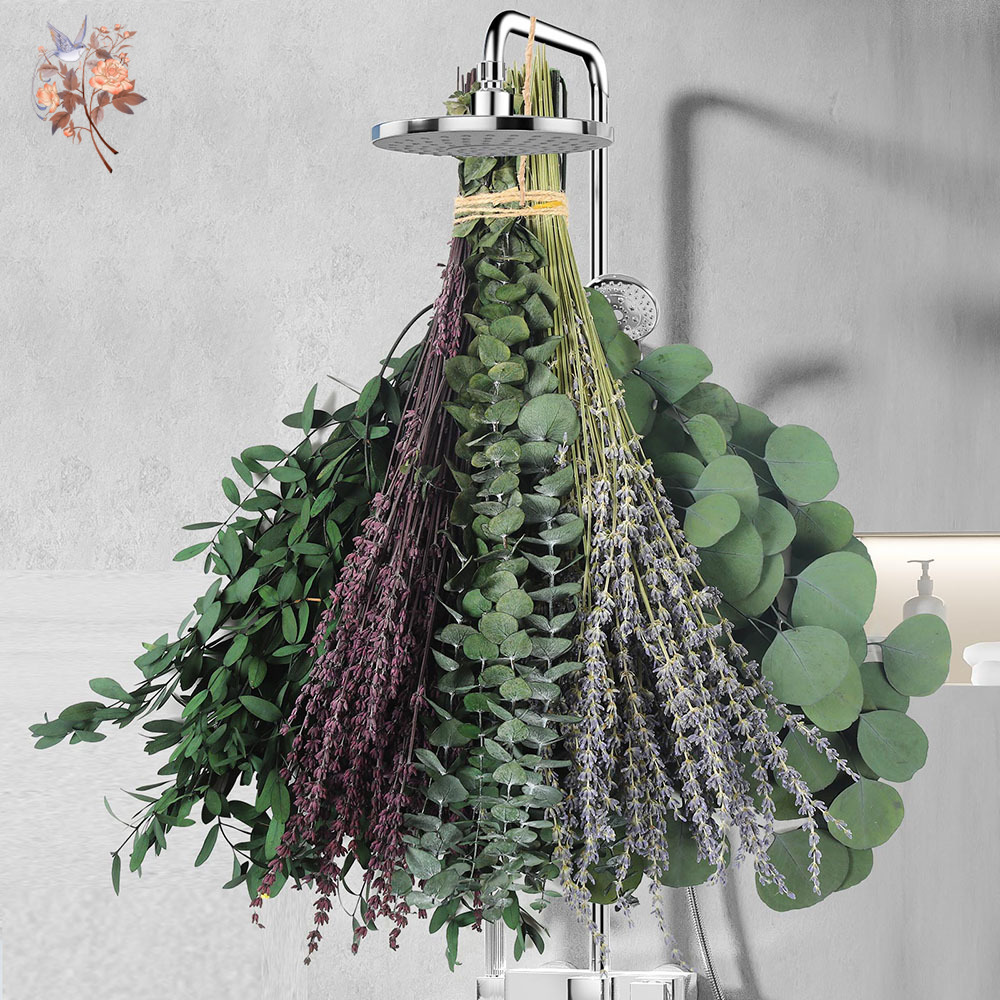 110Pcs Mix Dried Eucalyptus Le - Fragrance Your Home ulasan dan harga