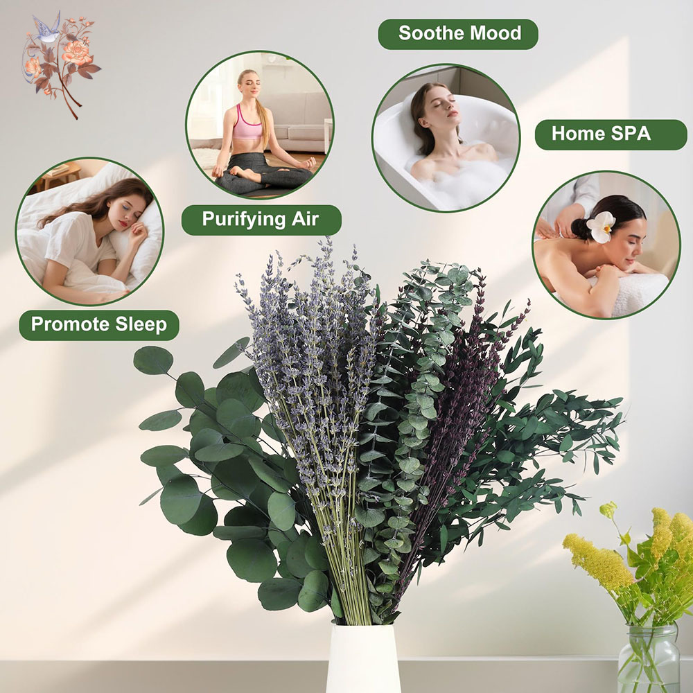 110Pcs Mix Dried Eucalyptus Le - Fragrance Your Home ulasan dan harga